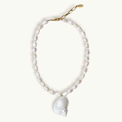 Shell Necklace