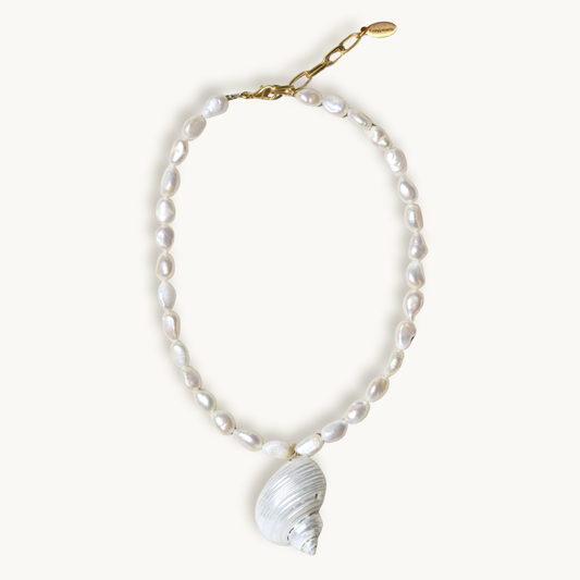 Shell Necklace